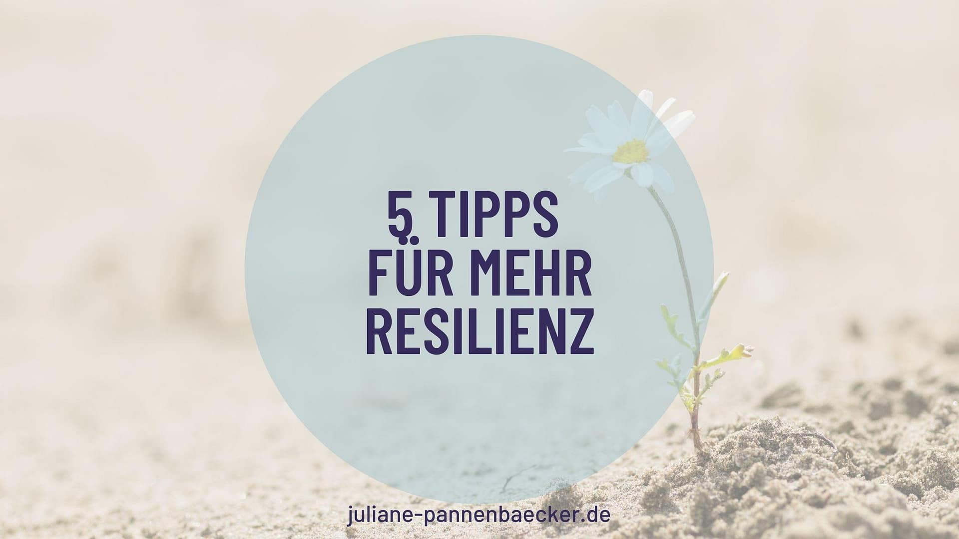 5 Tipps für mehr Resilienz